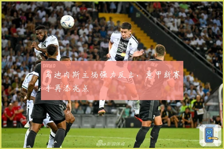 乌迪内斯主场强力反击，意甲新赛季再添亮点