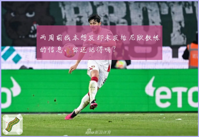 两周前我本想发却未发给尼欧教练的信息，你还记得吗？